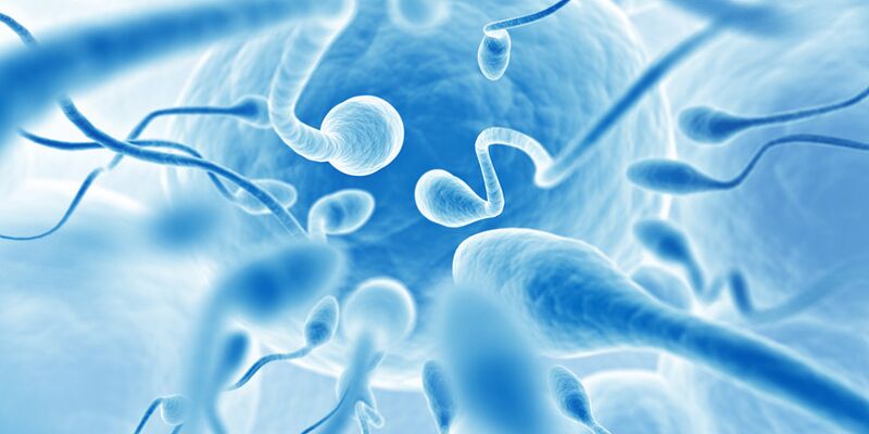 Ejaculare prematură la bărbații cu prostatită cronică